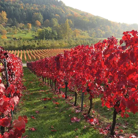 Apartment Gaestehaus Und Weingut Erich Hirth Obersulm