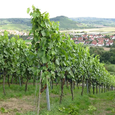 Gaestehaus Und Weingut Erich Hirth Obersulm