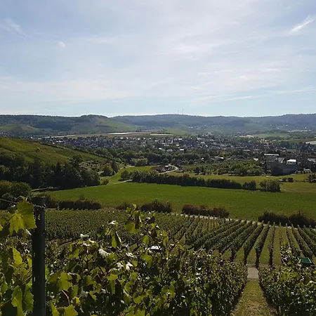 Apartment Gaestehaus Und Weingut Erich Hirth *